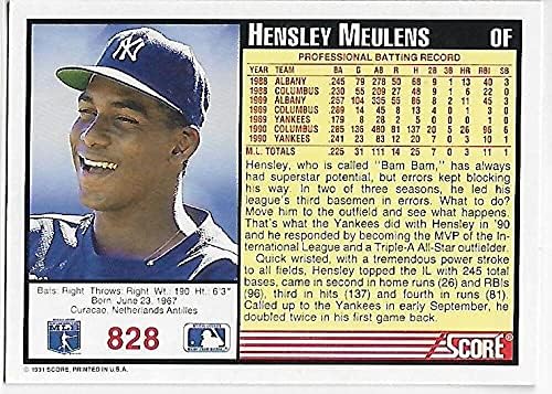 ציון 1991 828 Hensley Meulens