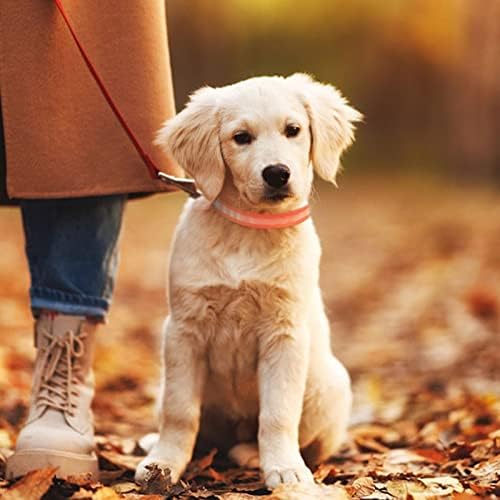 בגדי חיות מחמד לכלבים קטנים בנות מתלבשות חיית מחמד ארבע רגליים סתיו חורף סמי