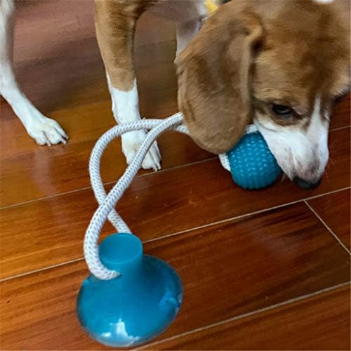 FEGOCLT צעצועים כלבים גור חיית מחמד כוס יניקה אינטראקטיבית דחיפה TPR צעצועי כדור טוחנים נשיכה טוחנית צעצוע