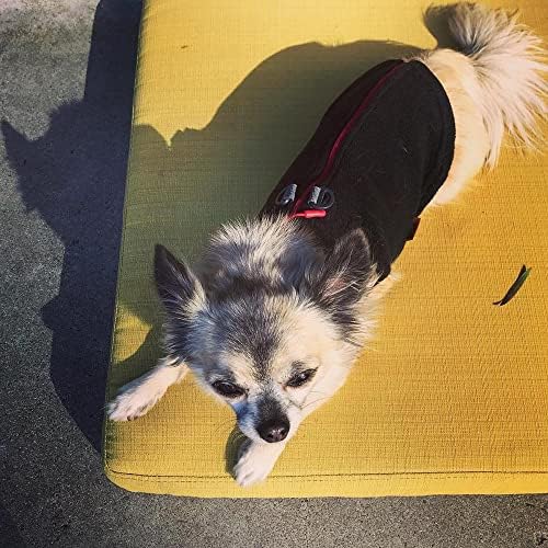 גובי לרכוס צמר כלב סוודר-שחור, בינוני - חם סוודר צמר צעד-ב כלב מעיל עם כפול ד טבעת רצועה-חורף