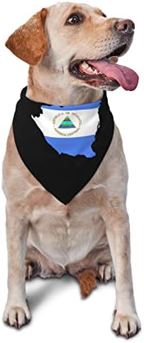 ניקרגואה דגל דגל מחמד כלב כלב כלבל