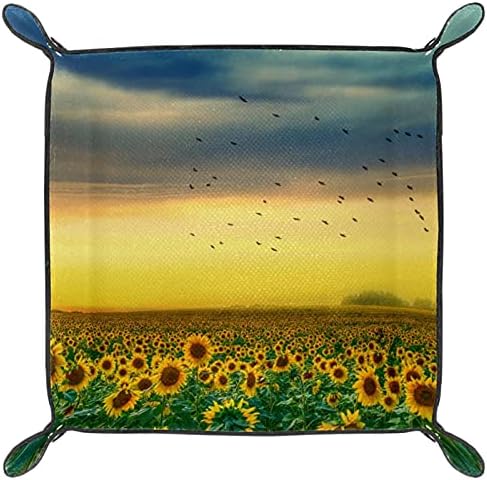 Sunset Sunflower Field Box Cox