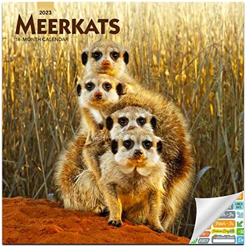 לוח השנה של Meerkats 2023 - Deluxe 2023 Meerkat
