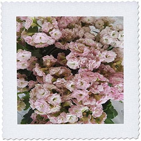3רוז תמונה יפה של פרחי קלנצ ' ו ורודים עדינים-ריבועי שמיכה