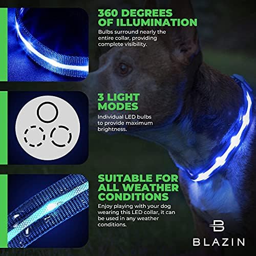 בלייזין הוביל צווארון כלבים-1,000 רגל של נראות-הבהיר ביותר לבטיחות לילה-אור צווארון כלבים עמיד למים נטענת