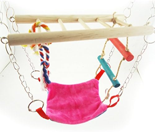 גשר עכברוש של גשר מתלי האוגר עם צעצוע סולם צעצוע עץ תלויה מתנדנד בית ערסל לתוכי ציפורים סנאי אוגר