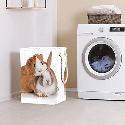 ארנב ועכבר 300 ד אוקספורד עמיד למים בגדי סל גדול כביסה סל עבור שמיכות בגדי צעצועי בחדר שינה