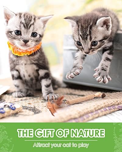 מקלות לעיסת חתולים סילברווין עם נוצה אמיתית, צעצועי לעיסת חתולים טבעיים לניקוי שיניים של חתלתולים,