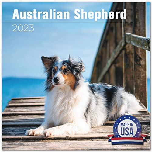2022 2023 לוח השנה הרועה האוסטרלי - לוח השנה החודשי של גזע כלבים - 12 x 24 פתוח - נייר עבה ללא