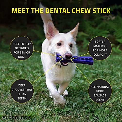 פלייולוגיה כסוף צעצוע כלבים של Chy Dental Stick Stick, גדול - מעוצב לכלבים בכירים - מרתק נקניק חזיר טבעי
