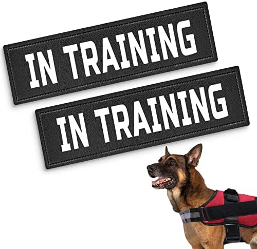 טלאי אפוד לכלבים, כלב שירות / באימון / תמיכה רגשית / כלב טיפול / אל תלטף טלאי פו-2 תגי כלב נשלפים