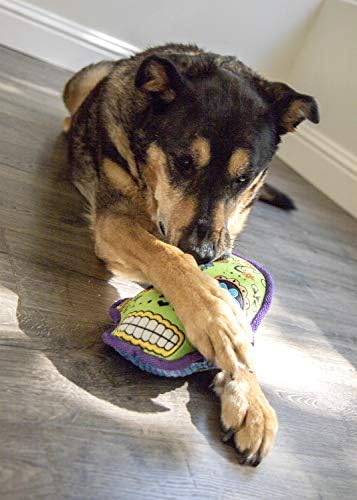 גולגלות סוכר של גודוג עם צעצוע של כלב טכנולוגיית משמר הלעיסה, ירוק, גדול