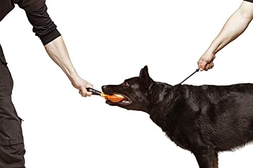 דינגו הילוך צווארון חנק לאימוני כלבים בעבודת יד של חוט עם 1 מגביל עמיד למים שחור L S04061