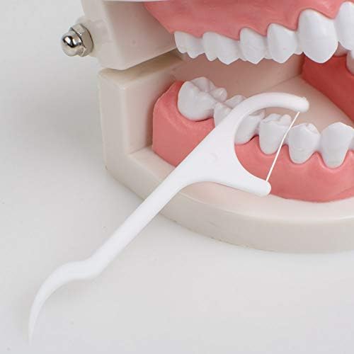 חוט דנטלי חוט דנטלי חוט חוט קוטף קיסמים שיניים שיניים מקל שן טיפול אוראלי נקי -1000 יחידות