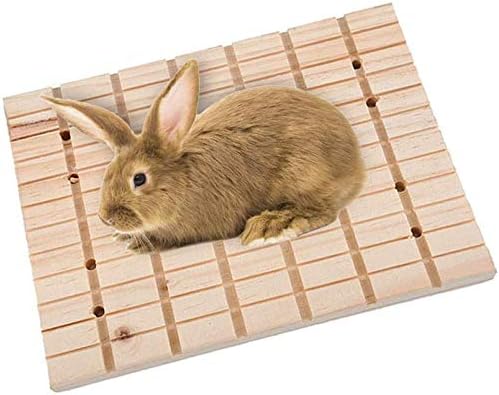 צעצועי ארנב ארנב רגל כף רגל צ'ינצ'ילה גינאה גינאה מגרדת לוח עץ