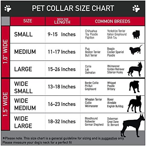 צווארון כלב אבזם חגורת בטיחות רויאל 13 עד 18 אינץ 'ברוחב 1.5 אינץ'