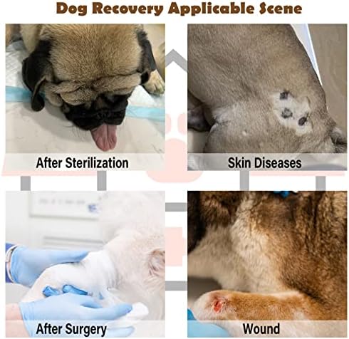חליפת התאוששות לכלבים, חליפת התאוששות לניתוח אפוד לכלבים, חליפת התאוששות סירוס כירורגית לכלבים למניעת