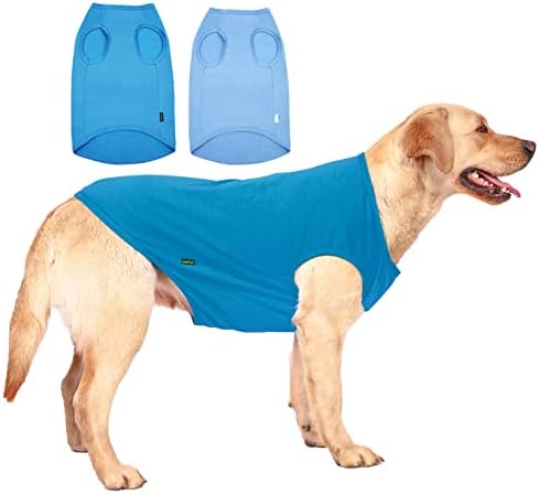 חולצה כחולה ריקה של Sychien, חולצות בנות כלבי הילדה חולצות טי גדולות, חולצת טריקו של תחש רגיל, XL כחול