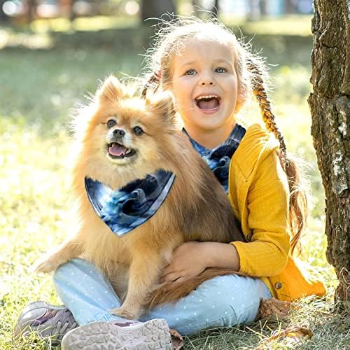 2 חבילות כלב בנדנה הורוסקופ אסטרולוגיה מזל גדי גלגל המזלות הילדה ילד חיית מחמד חיית מחמד כלבים