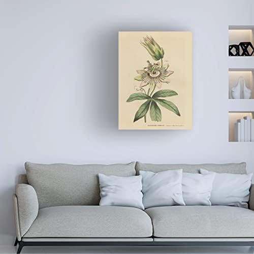 סימן מסחרי אמנות 'צמחי צמחים בוטניים XXI' אמנות קנבס מאת תיק אפל פראי