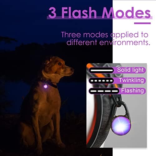 Thinkpet צווארון כלב אור להליכה בלילה, מהבהב כלב אור קליפ קליפ אטום למים LED LED אור הליכה לרתמה/רצועה