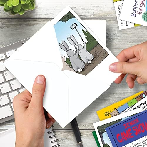 NobleWorks - 36 כרטיסי יום הולדת מצחיקים מגוונים סט קופסה עם מעטפות עם מעטפות הומור מעורב, חבילת