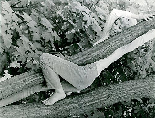 תצלום וינטג 'של מיריל דארק תלוי על ענף העץ.