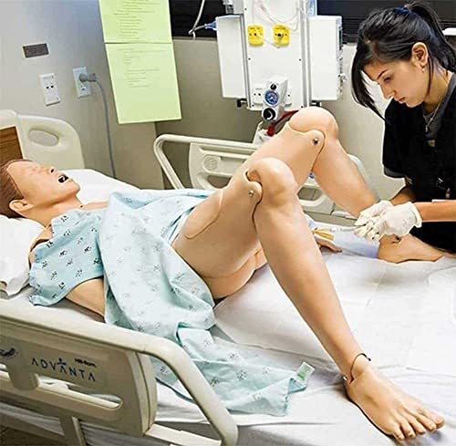 מודל אנטומי אנושי של טוזה מאניקין לטיפול בחולים נשלף להוראה רפואית סיעודית והחינוך ציוד רפואי