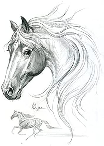 עשה זאת בעצמך יהלומי רקמת יהלומי ציור עגול פסיפס 5 ד ריינסטון קישוט סוס בעלי החיים יהלומים פנינה אמנות ומלאכות