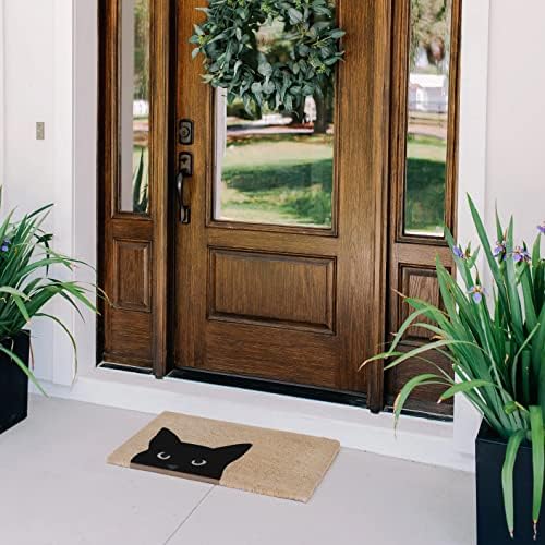 תיאודור מגנוס שטיח דלת טבעי עם גיבוי מונע החלקה - 17 על 30-חיצוני / פנימי - מחצלת דלת חתול -
