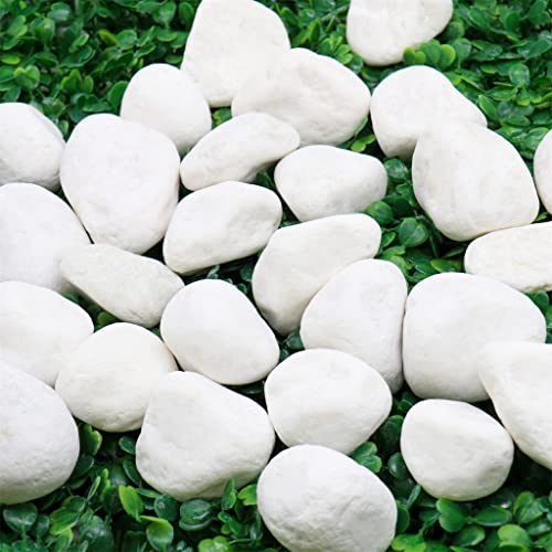 סלעים לבנים 1 - 2 אינץ', 5 פאונד. של טבעי לא מלוטש אבן חלוקי לצמחים, גנים, רוק ציור, גינון,