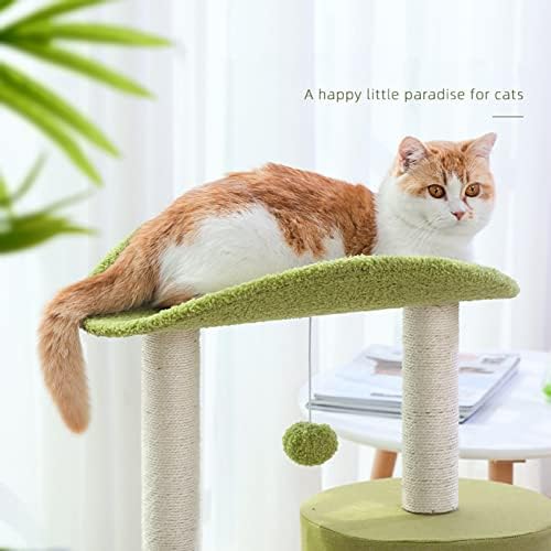 40.7, חתול עץ מגדל, קטן חתול עץ, חתול מטפס, חתול פעילות עצים, חתול מטפס, חתול מייצג מקורה חתולים