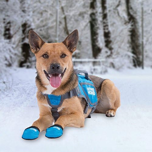 כלב כלפי חוץ Kyjen 3071 חום תרמו -חום מעיל כלב רפלקטיבי מעיל חורף, בינוני, כחול
