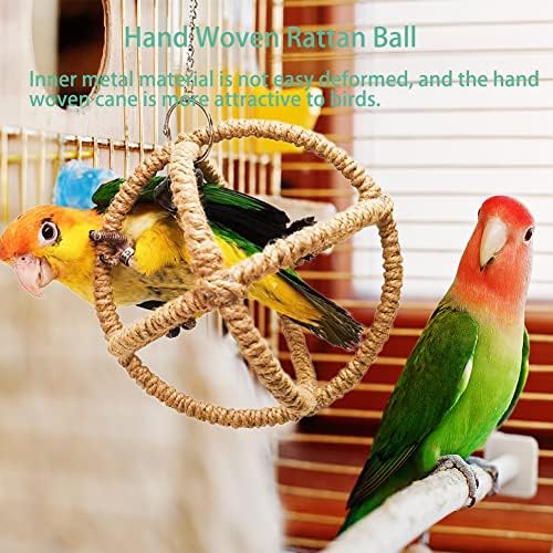 צעצועי תוכי קטנים מתנדנדים עם פעמונים, ניקדו לועס ציפורים צעצועים עם חרוטים אורנים טבעיים לכלוב