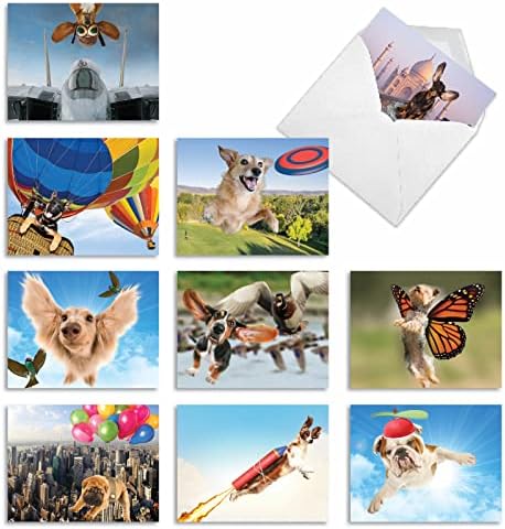 חברת הכרטיסים הטובה ביותר-10 כרטיסי כלב ריקים מגוונים - כרטיסי תו מקסימים של בעלי חיים לכל אירוע-הקיי 9 מ '