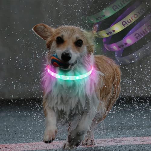 ROOLA 2 ב 1 LED LED אורות צווארון כלבים מואר