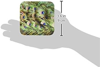 עיני נוצות זנב טווס 3 דרוז - תחתיות אריחי קרמיקה, סט של 4