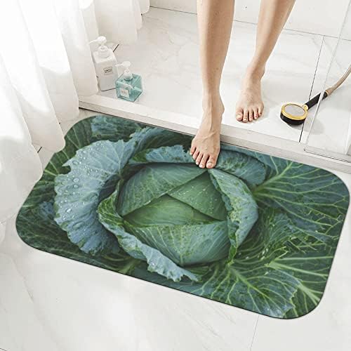 שטיח שטיחי אמבטיה זראוקי 19.7 על 31.5 אינץ', מחצלות אמבטיה דיאטומיות כרוב בהירות לאמבטיה החלקה שטיחים באזור