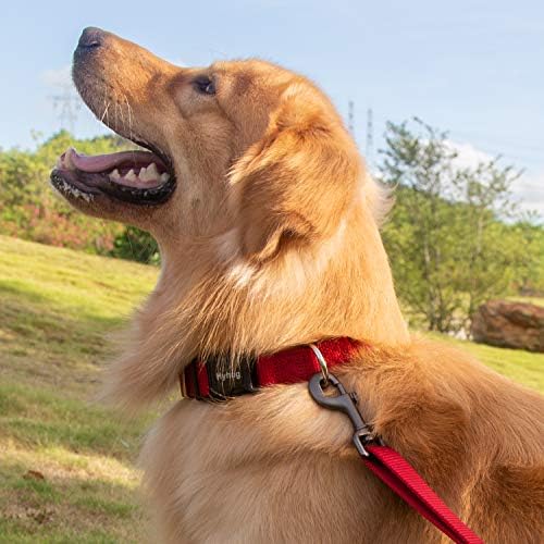 Hyhug Pets Premium משודרג רצועה מתכווננת עם ניילון יציב וידית מרופדת ניאופרן רכה במיוחד לכלבים קטנים בינוניים.