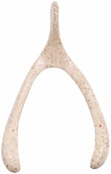 עצמות המשאלות של שרף מאת טים ​​הולץ רעיון-ביולוגיה, 1 x 5/8 אינץ ', 15 בבקבוקון הפקק, TH93071