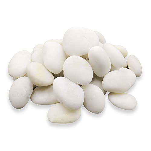 חלוקי אבן לבנים מלוטשים 5 קילוגרם. - 1 אינץ ' - 2 אינץ' סנטימטר לצמחים, גנים, עיצוב, גינון, עסיסי,