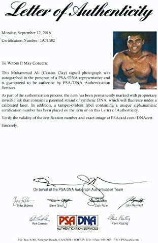 מוחמד עלי חתם על Cassius Clay אותנטי 11x14 Photo PSA/DNA ITP 7A71482