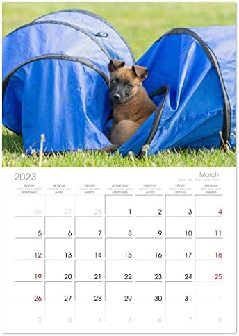 מלינו ... מה עוד! ), לוח השנה החודשי של קלוונדו 2023