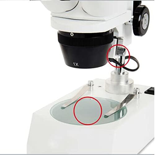 מיקרוסקופ ילדים, מיקרוסקופ סטריאו משקפת, התאמת מרחק תלמיד 57-82 ממ