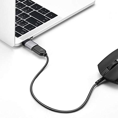 כבל Goxwave תואם ל- Fujitsu Lifebook U9312 - USB -C ל- PortChanger, USB Type -C OTG USB מחזיק מפתחות נייד עבור