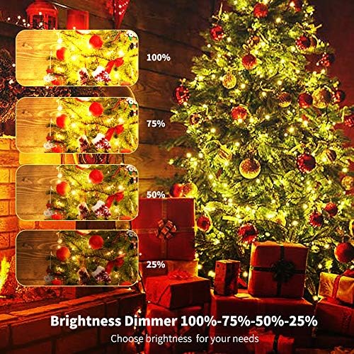 Chuya 300 צבע כפול משתנה אורות עץ חג המולד, לבן חם לרב-צבע, מצבי תקע מקצה לקצה 9 מצבי, אורות מיתרים