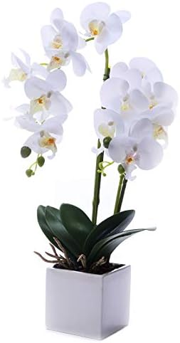 Gxlmii סחלבים מלאכותיים פרחים עם אגרטל ליצירות מרכזי שולחן, אורקווידי סחלב פו מזויפים פרחי מגע אמיתי