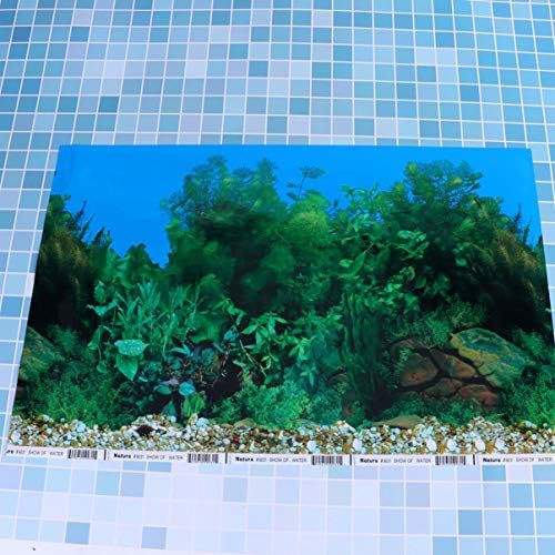 רקע מיכל דגים של נגל- 2 טפט צדדי רקע 3D רקע רקע רקע רקע פוסטר 10 ליטר- 30x42 סמ