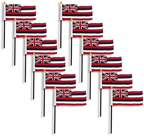 חנויות מקוונות דגל הוואי 4 x 6 אינץ '