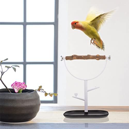 Ipetboom צעצועים חיצוניים כלוב ציפורים מוטת ציפור תות על תוכי אימוני עץ צעצועים משחקים פלטפורמת פלטפורמה אביזרים